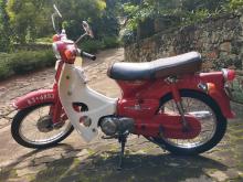 Honda C90 Super Cub 6v 1981 Motorbike