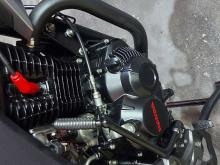 https://riyasewana.com/uploads/honda-cb-hornet-162015556676.jpg