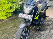 Honda CB HORNET SPECIAL EDITIONS 2019 Motorbike