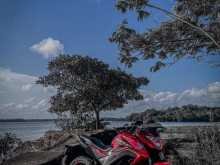 https://riyasewana.com/uploads/honda-cb-hornet-251522534073.jpg