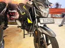 Honda CB HORNET SPECIAL EDITIONS 2019 Motorbike