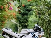 https://riyasewana.com/uploads/honda-cbr-21736384412.jpg