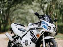 Honda Cbr Gullarm 2004 Motorbike