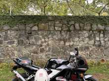 https://riyasewana.com/uploads/honda-cbr-250-112024722093.jpg