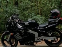 Honda CBR 250 MC19 2015 Motorbike