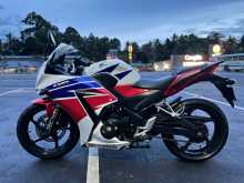 Honda CBR 300RR 2015 Motorbike