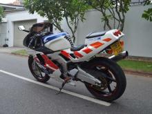 https://riyasewana.com/uploads/honda-cbr-gullarm-261405336486.jpg