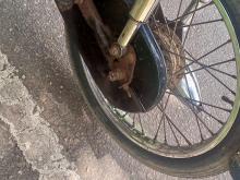 https://riyasewana.com/uploads/honda-cd-50-15759376714.jpg