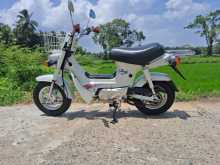 https://riyasewana.com/uploads/honda-chali-cf50-2121141613292.jpg