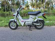 https://riyasewana.com/uploads/honda-chali-custom-68364513902.jpg