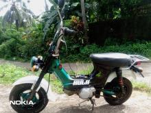 Honda Chaly 1987 Motorbike