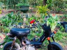 Honda Chaly 1998 Motorbike