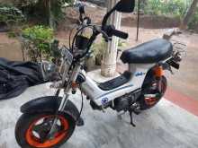 Honda Chaly 1982 Motorbike