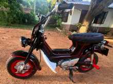 Honda Chaly 1980 Motorbike