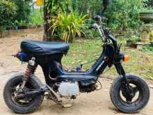 https://riyasewana.com/uploads/honda-chaly-23803434073.jpg