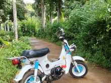 https://riyasewana.com/uploads/honda-chaly-241242384373.jpg