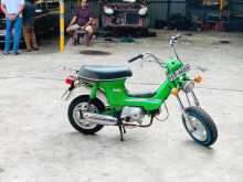 Honda Chaly 2024 Motorbike