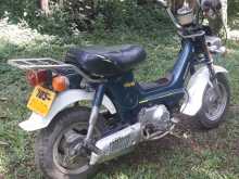 https://riyasewana.com/uploads/honda-chaly-50cc-2011384913532.jpg