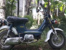 https://riyasewana.com/uploads/honda-chaly-50cc-2011523019135.jpg