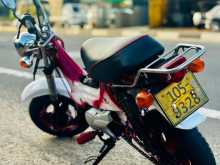 Photo 7