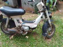 https://riyasewana.com/uploads/honda-chaly-81627504483.jpg