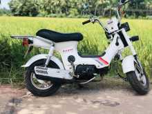 https://riyasewana.com/uploads/honda-chaly-cf-239381322393.jpg