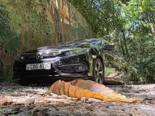 Honda Civic FC1 2019 Car