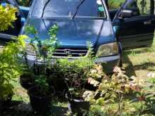 Honda CRV 1996 SUV