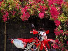 Honda Crf250x 2013 Motorbike