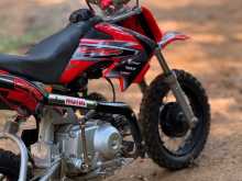 https://riyasewana.com/uploads/honda-crf50-mini-219330513022.jpg