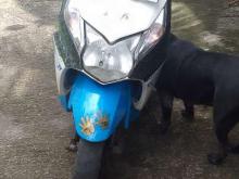 https://riyasewana.com/uploads/honda-dio-111124266194.jpg