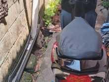https://riyasewana.com/uploads/honda-dio-2016-620273713064.jpg