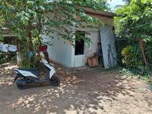 https://riyasewana.com/uploads/honda-dio-215083324361.jpg