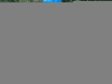 Honda Dio 2019 Motorbike