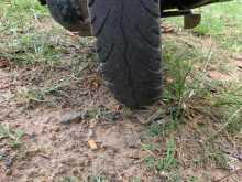 https://riyasewana.com/uploads/honda-dip-2813424122763.jpg