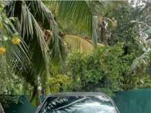 https://riyasewana.com/uploads/honda-fit-shutle-7922014892.jpg