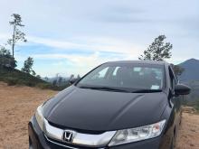 Honda Grace 2016 Car