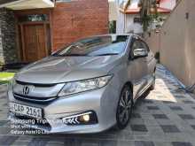 Honda Grace Ex Limited 2016 Car