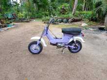 https://riyasewana.com/uploads/honda-honda-chaly-2912372013644.jpg