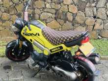 Honda Navi 2019 Motorbike