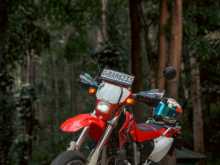 https://riyasewana.com/uploads/honda-honda-xr-611590613854.jpg