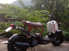 https://riyasewana.com/uploads/honda-honda-zoomer-221116406584.jpg