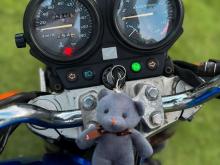 https://riyasewana.com/uploads/honda-honet-301615086074.jpg