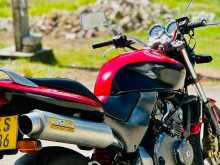 https://riyasewana.com/uploads/honda-honet-62313034033.jpg