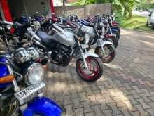 https://riyasewana.com/uploads/honda-hornet-146444713992.jpg