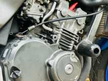 https://riyasewana.com/uploads/honda-hornet-220545913664.jpg