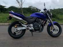 Honda Hornet 2009 Motorbike