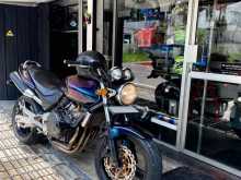 Honda Hornet 250 Ch 130 2009 Motorbike