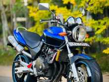 Honda Hornet 250 2009 Motorbike