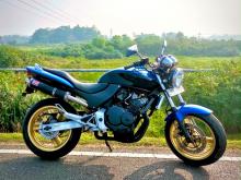 Honda Hornet 250 Ch 130 2009 Motorbike